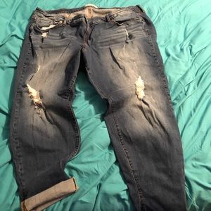 Torrid jeans